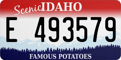 ID license plate E493579