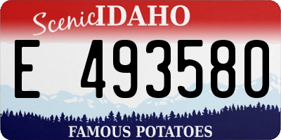 ID license plate E493580