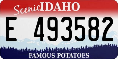 ID license plate E493582