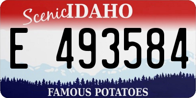 ID license plate E493584