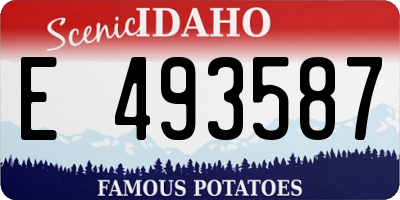 ID license plate E493587