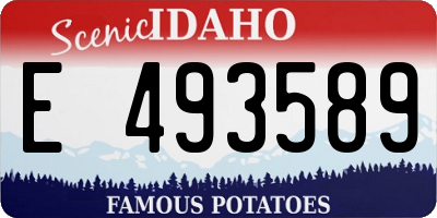 ID license plate E493589