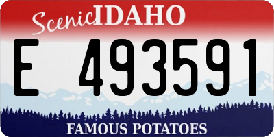 ID license plate E493591