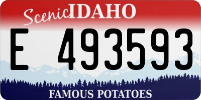 ID license plate E493593