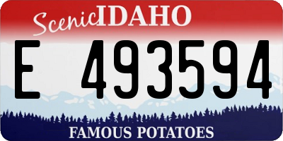 ID license plate E493594