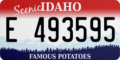 ID license plate E493595