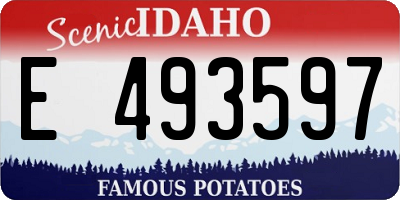 ID license plate E493597