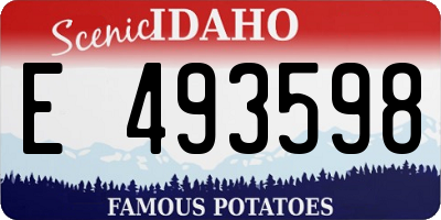 ID license plate E493598