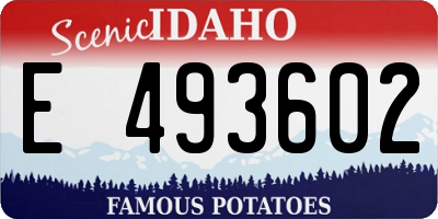 ID license plate E493602
