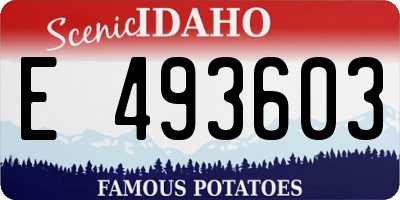 ID license plate E493603
