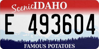 ID license plate E493604