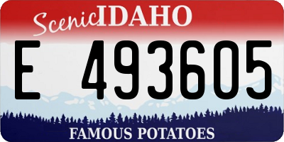 ID license plate E493605