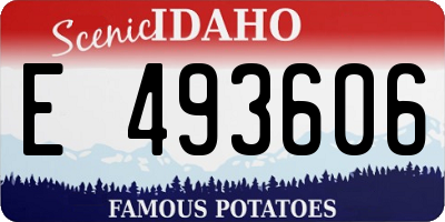 ID license plate E493606
