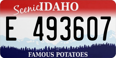 ID license plate E493607