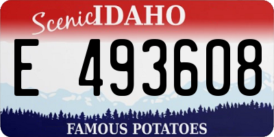 ID license plate E493608