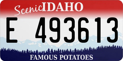 ID license plate E493613