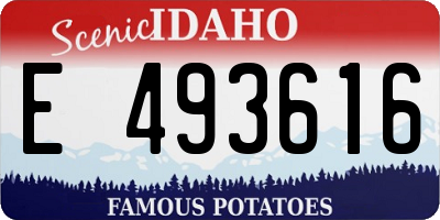 ID license plate E493616