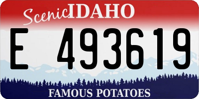 ID license plate E493619