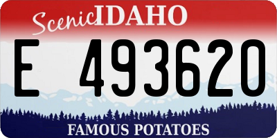 ID license plate E493620