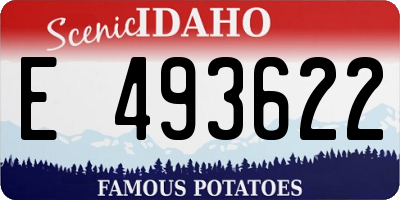 ID license plate E493622
