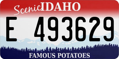 ID license plate E493629