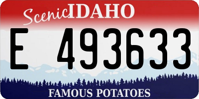 ID license plate E493633