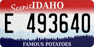 ID license plate E493640