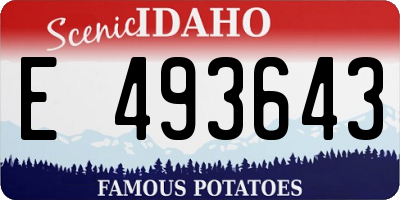 ID license plate E493643
