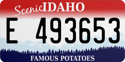 ID license plate E493653