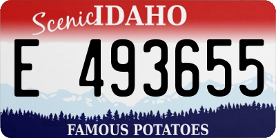 ID license plate E493655