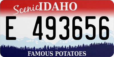 ID license plate E493656
