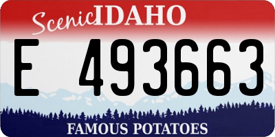 ID license plate E493663