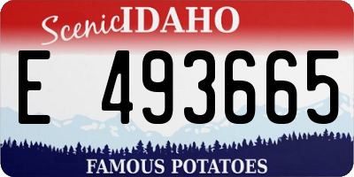 ID license plate E493665