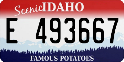 ID license plate E493667