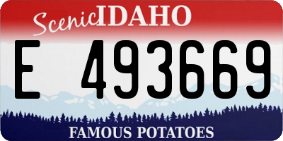 ID license plate E493669