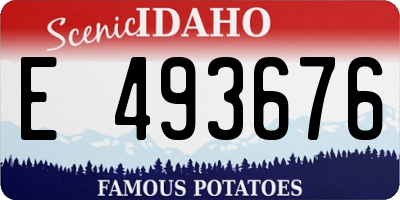 ID license plate E493676