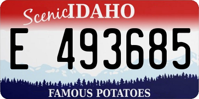 ID license plate E493685
