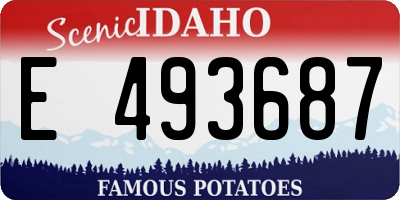ID license plate E493687
