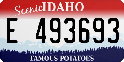 ID license plate E493693