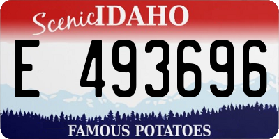 ID license plate E493696