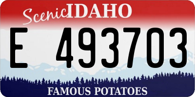 ID license plate E493703