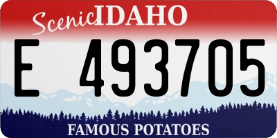 ID license plate E493705
