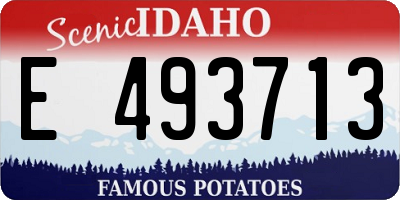 ID license plate E493713