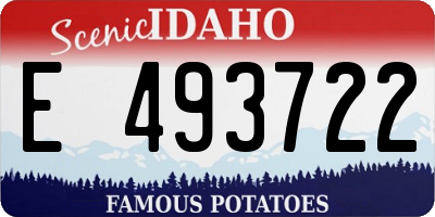 ID license plate E493722
