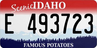 ID license plate E493723
