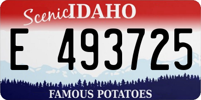 ID license plate E493725
