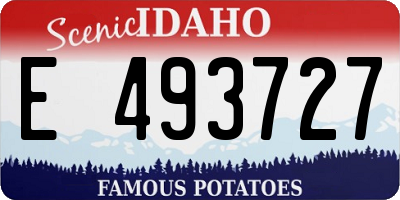 ID license plate E493727