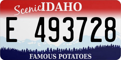 ID license plate E493728