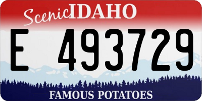 ID license plate E493729