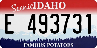 ID license plate E493731